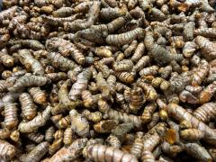 WhatsApp Image 2023-12-11 at 11.19.56.jpeg