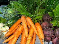 WhatsApp Image 2023-12-11 at 11.19.57 (1).jpeg