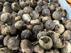 WhatsApp Image 2023-12-11 at 11.19.58 (1).jpeg