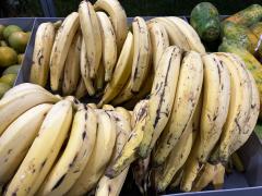 WhatsApp Image 2023-12-11 at 11.19.58.jpeg