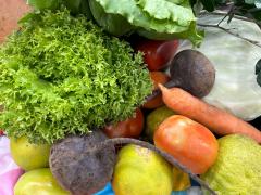 WhatsApp Image 2023-12-11 at 11.20.00 (1).jpeg