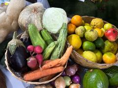 WhatsApp Image 2023-12-11 at 11.20.00.jpeg