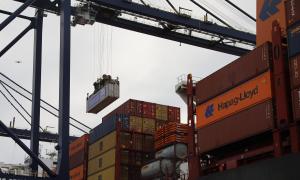 WhatsApp Image 2024-01-05 at 17.08.38(1).jpeg