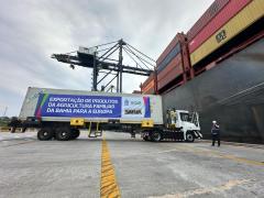 WhatsApp Image 2024-01-05 at 17.08.39.jpeg