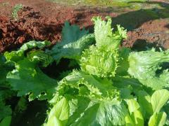 WhatsApp Image 2024-01-09 at 09.53.08(1).jpeg