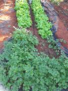 WhatsApp Image 2024-01-09 at 09.53.15.jpeg