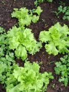 WhatsApp Image 2024-01-10 at 10.35.17.jpeg