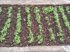 WhatsApp Image 2024-01-10 at 10.35.45(1).jpeg