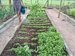 WhatsApp Image 2024-01-10 at 10.35.45.jpeg