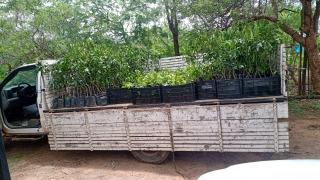 WhatsApp Image 2024-01-15 at 12.07.44 (1).jpeg