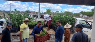 WhatsApp Image 2024-01-15 at 12.07.44.jpeg