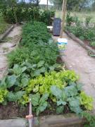 WhatsApp Image 2024-01-15 at 19.45.20.jpeg