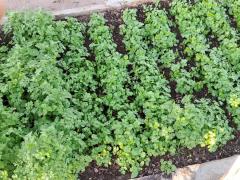 WhatsApp Image 2024-01-16 at 17.52.14(1).jpeg