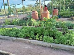 WhatsApp Image 2024-01-16 at 17.52.14.jpeg