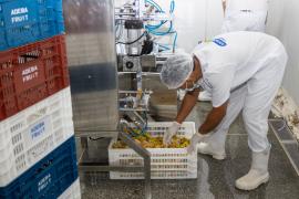 WhatsApp Image 2024-01-19 at 15.01.44.jpeg