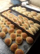 WhatsApp Image 2024-01-24 at 09.45.36.jpeg