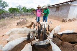 Pró-semiárido_abril2023_foto_Fabio Arruda_by Barong (106).jpg