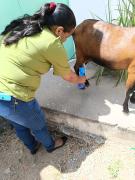 WhatsApp Image 2023-12-21 at 10.29.38.jpeg