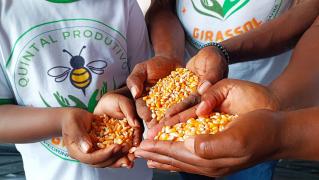 WhatsApp Image 2024-02-02 at 13.39.37.jpeg