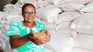 WhatsApp Image 2024-02-02 at 13.43.46.jpeg