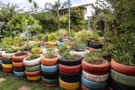 WhatsApp Image 2024-02-06 at 14.05.57.jpeg