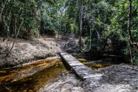 WhatsApp Image 2024-02-06 at 14.05.58.jpeg