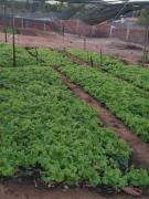 WhatsApp Image 2024-02-20 at 13.50.11.jpeg