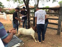 WhatsApp Image 2024-02-21 at 14.56.51.jpeg