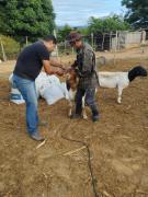 WhatsApp Image 2024-02-21 at 14.57.34.jpeg