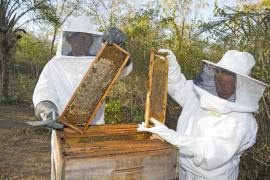 Prosemiarido_Lume_Fumaça_ManuelaCavadas (11).JPG