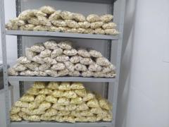 WhatsApp Image 2024-03-04 at 16.15.53(2).jpeg