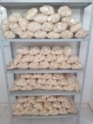 WhatsApp Image 2024-03-04 at 16.15.53(3).jpeg