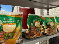 WhatsApp Image 2024-03-08 at 16.52.03.jpeg