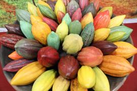 WhatsApp Image 2024-03-15 at 10.56.10 (1).jpeg