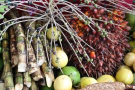 WhatsApp Image 2024-03-15 at 14.27.36 (1).jpeg