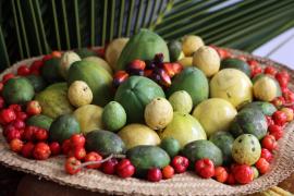 WhatsApp Image 2024-03-15 at 14.27.37 (1).jpeg