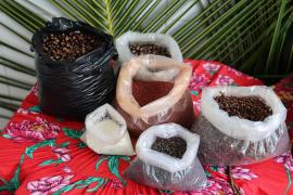 WhatsApp Image 2024-03-15 at 14.27.37.jpeg