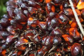 WhatsApp Image 2024-03-15 at 14.27.39 (2).jpeg