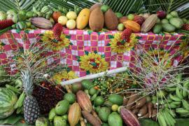 WhatsApp Image 2024-03-15 at 14.27.39.jpeg