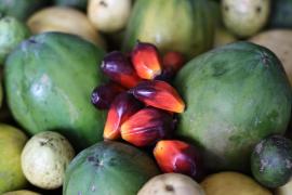 WhatsApp Image 2024-03-15 at 14.27.40 (2).jpeg