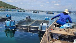 WhatsApp Image 2024-03-23 at 1.22.57 PM.jpeg