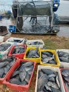 WhatsApp Image 2024-03-24 at 8.47.09 AM.jpeg