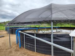 WhatsApp Image 2024-03-27 at 09.36.02.jpeg