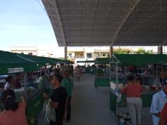 Feira  (1).jpeg