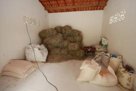 Foto - Feijão Almeida - GOVBA (6).jpg