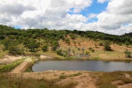 Foto - Geraldo Carvalho-ASCOM CAR (2).jpg