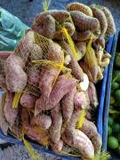 Foto.Amadeu Chagas (10).jpeg