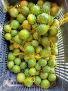 Foto.Amadeu Chagas (11).jpeg