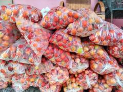 Foto.Amadeu Chagas (8).jpeg