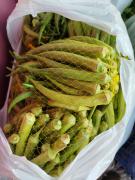 Foto.Amadeu Chagas (9).jpeg